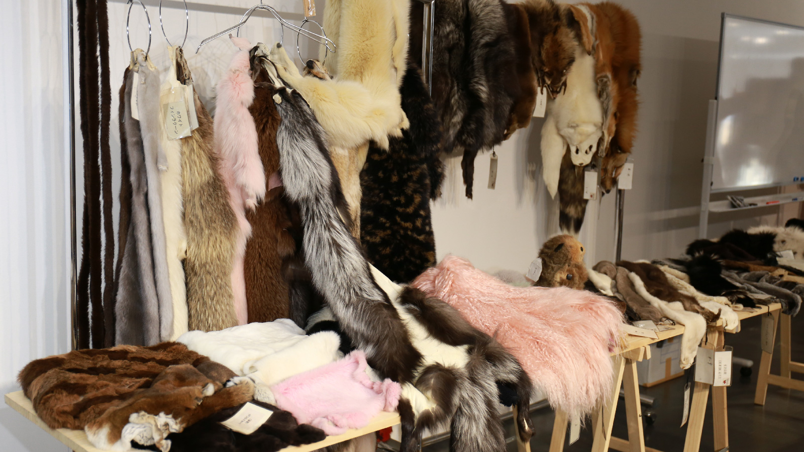 毛皮講習を受講しました！